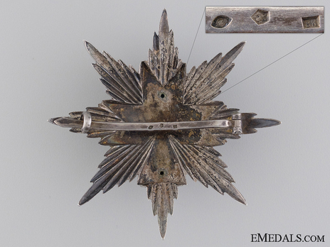 I Class Grand Officer Breast Star (with swords) Reverse