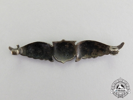 Pilot Wings  (1917) Reverse