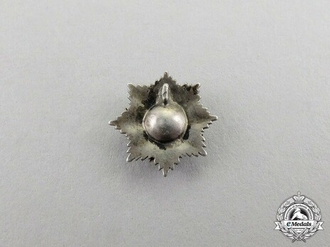 Order of Military Merit, Military Division, Grand Cross Breast Star Miniature Reverse