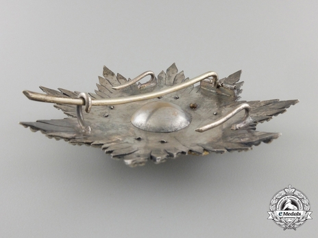 2nd Class Breast Star (white distinction pension) (with Fleur de Lys and Royal Crown) (Silver gilt) Reverse