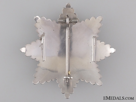 2nd Class Breast Star (white distinction) (Silver gilt, Gold) Reverse
