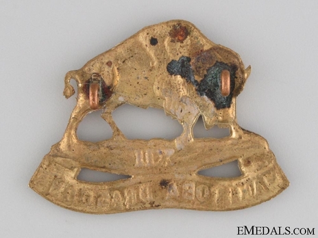 12th Manitoba Dragoons Other Ranks Cap Badge Reverse