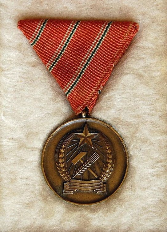 Distinguished+service+medal%2c+type+i