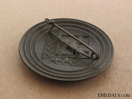 RADwJ 1939 Maidenunterführerin Rank Brooch Reverse