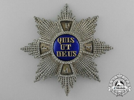 Royal Order of Merit of St. Michael, Grand Cross Breast Star (by Quellhorst) Obverse