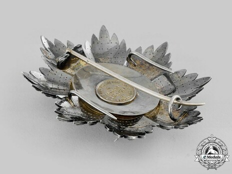 I Class Breast Star Reverse