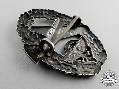 NSFK Motor Pilot's Badge, Type II Reverse