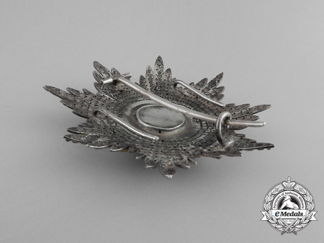 2nd Class Breast Star (white distinction) (with coat of arms of Castile and Leon, and Imperial Crown) (Silver gilt) Reverse
