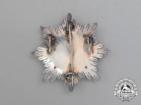 2nd Class Breast Star (white distinction) Reverse