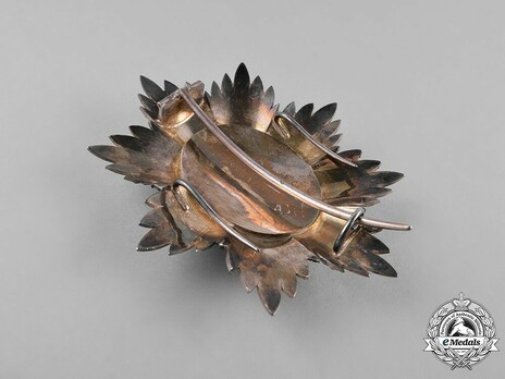 II Class Breast Star Reverse