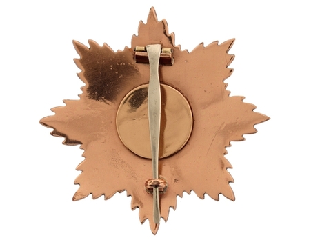  Order of the Star (Nishan-i-Astour), Type II, III Class (with bronze and silver) Reverse