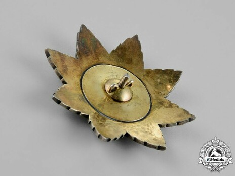 Order of Noble Bukhara, I Class, III Grade (version 2) Reverse