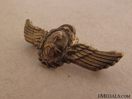 Badge Obverse