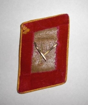 NSDAP Sonderbeauftragter Type IV Reich Level Collar Tabs Reverse