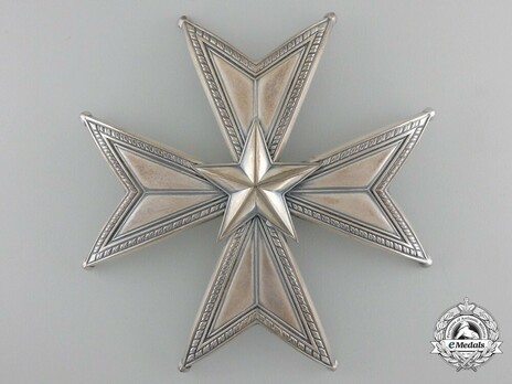 I Class Commander Breast Star (with silver by C. F. Carlman) Obverse
