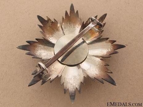Order of Merit of the Italian Republic, Type I, Grand Cross Breast Star Reverse