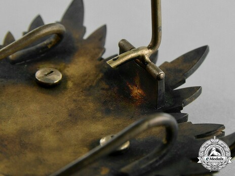 Order of the Golden Kite, I Class Breast Star Reverse Detail