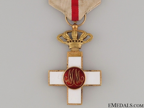 1st Class Cross (red distinction pension) (gold) Reverse