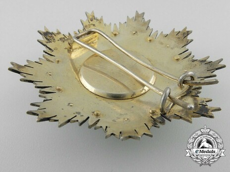 Commander Breast Star (Silver gilt and gold) Reverse