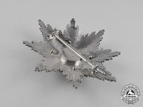 Order of the Cross of Takovo, Civil Division, II Class Breast Star Reverse
