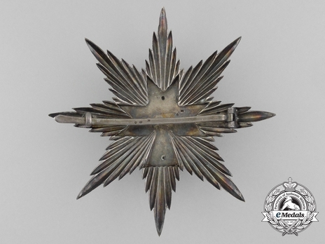 I Class Grand Officer Breast Star Reverse