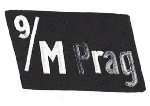 NSKK Special Motor Formations Collar Tabs (Prag version) Obverse