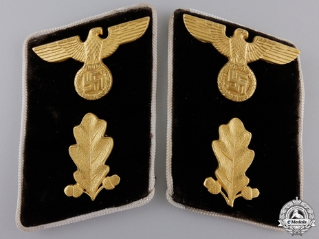 NSDAP Abschnittsleiter Type IV Kreis Level Collar Tabs Obverse