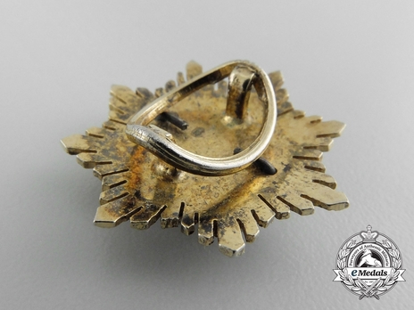 Miniature 3rd Class Breast Star (silver gilt) Reverse