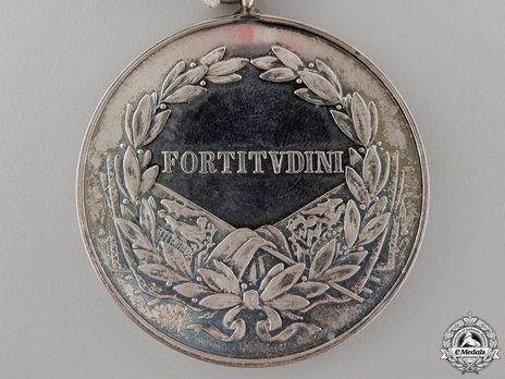 Type IX, I Class Silver Medal Reverse