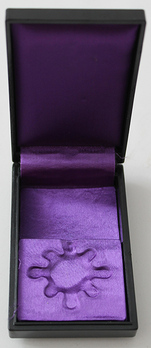 Order of the Sacred Treasure, VIII Class Case Open