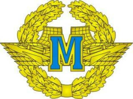 Voluntary Military Service Airforce Master Badge Obverse