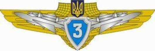 Compulsory Military Service Airforce 3rd Grade Badge Obverse