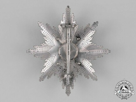 Order of the Cross of Takovo, Civil Division, II Class Breast Star Reverse