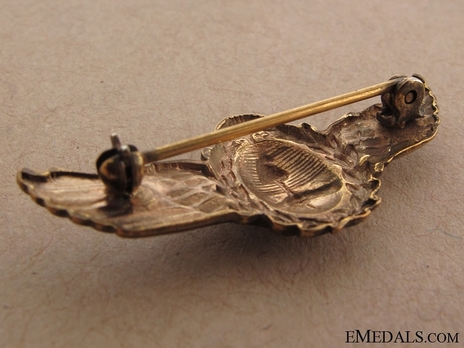 Badge Reverse