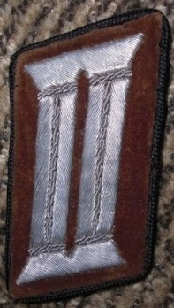 NSDAP Amtsleiter Type II Kreis Level Collar Tabs Obverse