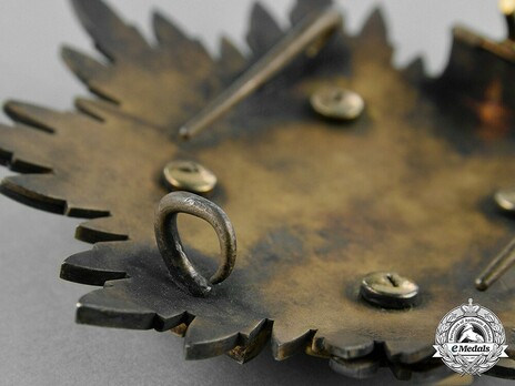 Order of the Golden Kite, I Class Breast Star Reverse Detail