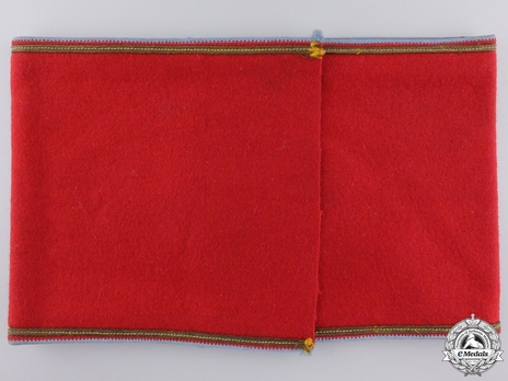 NSDAP Leiter einer Hilfsstelle/Blockwalter/Blockobmann Type II Ort Level Armband Reverse