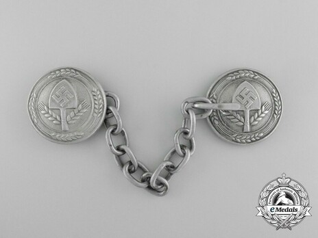 RAD Cape Clasp Obverse