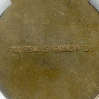 Medal in Defence of Zimbabwe Economic Life Line Reverse Detail