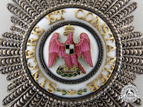 Order of the Red Eagle, Civil Division, I Class Breast Star (with faceted rays) Obverse