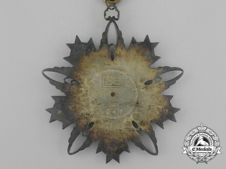 Air Force Order of Rejuvenation, II Class Reverse