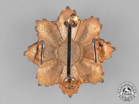 Order of the Two Rivers (Wisam al-Imtiaz-i-Rafidain), Civil Division, Grand Cordon Breast Star 