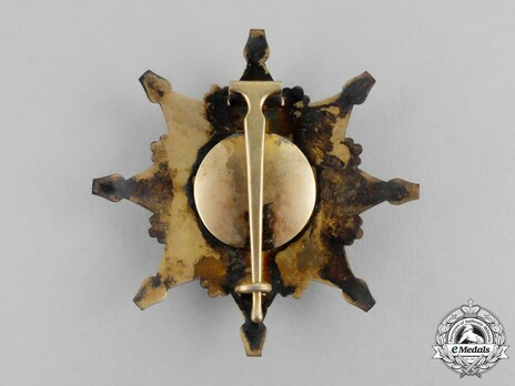Order of the Black Eagle, Grand Officer's Breast Star Reverse