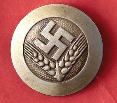 RADwJ 1939 Stabsführerin Rank Brooch Obverse