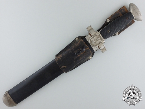 German Red Cross Enlisted Ranks Hewer (Marked) Obverse in Scabbard