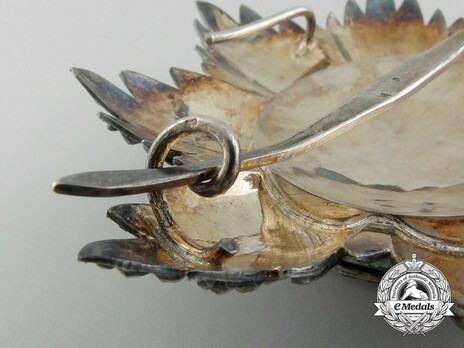 National Order of Independence, Grand Officer Breast Star Reverse Detail
