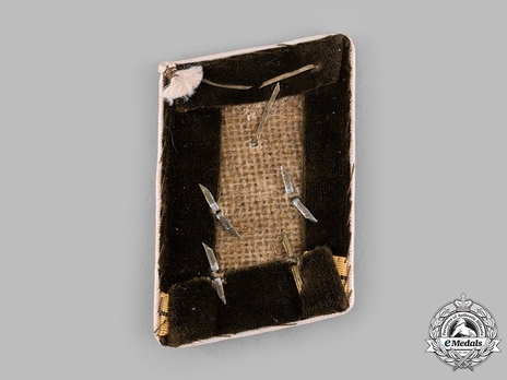 NSDAP Haupt-Gemeinschaftsleiter Type IV Kreis Level Collar Tabs Reverse