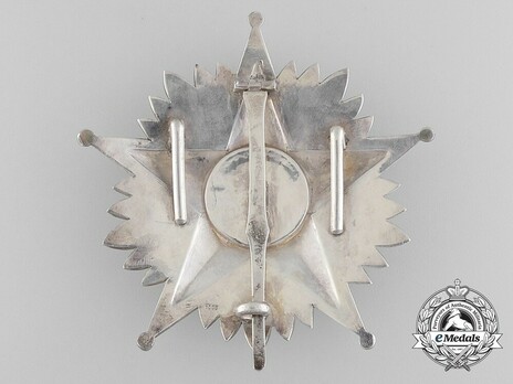 Grand Cross Breast Star Reverse