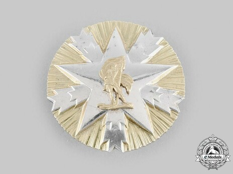 Order of Service to the People, II Class Star