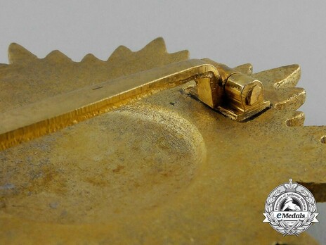 I Class in Gold Detail